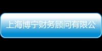 上海博寧財(cái)務(wù)顧問有限公司(關(guān)于上海博寧財(cái)務(wù)顧問有限公司簡述)