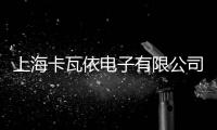 上海卡瓦依電子有限公司(關(guān)于上海卡瓦依電子有限公司簡述)