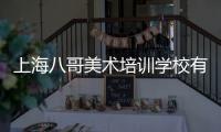 上海八哥美術培訓學校有限公司(關于上海八哥美術培訓學校有限公司簡述)