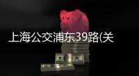 上海公交浦東39路(關于上海公交浦東39路簡述)