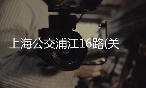 上海公交浦江16路(關(guān)于上海公交浦江16路簡述)