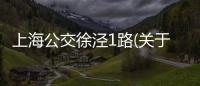 上海公交徐涇1路(關于上海公交徐涇1路簡述)