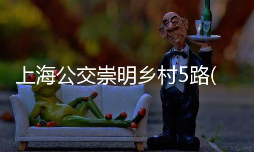 上海公交崇明鄉村5路(關于上海公交崇明鄉村5路簡述)