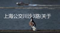 上海公交川沙3路(關于上海公交川沙3路簡述)