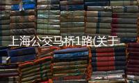 上海公交馬橋1路(關(guān)于上海公交馬橋1路簡(jiǎn)述)