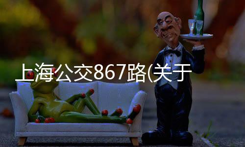 上海公交867路(關于上海公交867路簡述)
