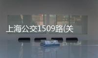 上海公交1509路(關于上海公交1509路簡述)