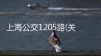 上海公交1205路(關于上海公交1205路簡述)