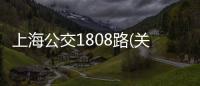 上海公交1808路(關于上海公交1808路簡述)