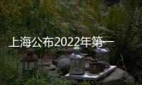 上海公布2022年第一批通過一致性評價掛網(wǎng)品種 涉及210個品規(guī)