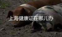 上海健康證在哪兒辦