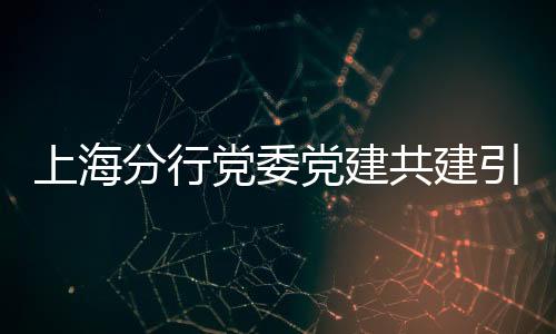 上海分行黨委黨建共建引領業(yè)務發(fā)展