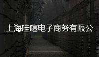 上海哇噻電子商務有限公司(關于上海哇噻電子商務有限公司簡述)