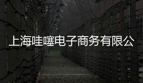 上海哇噻電子商務(wù)有限公司(關(guān)于上海哇噻電子商務(wù)有限公司簡述)
