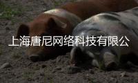 上海唐尼網絡科技有限公司(關于上海唐尼網絡科技有限公司簡述)