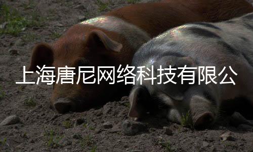 上海唐尼網絡科技有限公司(關于上海唐尼網絡科技有限公司簡述)