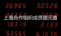 上海合作組織成員國元首理事會關于睦鄰互信和伙伴關系原則的聲明