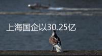 上海國企以30.25億元奪得北京大興地王