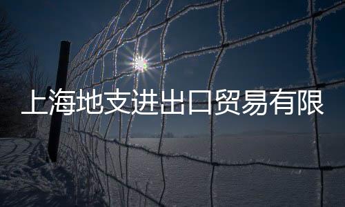上海地支進(jìn)出口貿(mào)易有限公司(關(guān)于上海地支進(jìn)出口貿(mào)易有限公司簡(jiǎn)述)