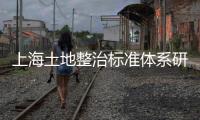 上海土地整治標準體系研究(關于上海土地整治標準體系研究簡述)