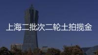 上海二批次二輪土拍攬金238億收官,綠城139億 “連中三元”成最大贏家