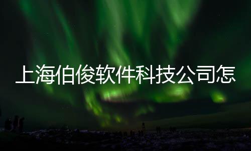 上海伯俊軟件科技公司怎么樣和上海伯俊軟件科技公司的詳細介紹
