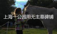 上海一公園用無主墓碑鋪湖堤，回應：當時缺石料，就拿來用了