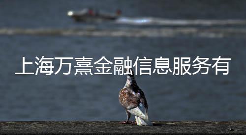 上海萬熹金融信息服務有限公司(關于上海萬熹金融信息服務有限公司簡述)