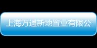 上海萬通新地置業(yè)有限公司(關(guān)于上海萬通新地置業(yè)有限公司簡述)