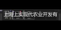 上海上實現代農業開發有限公司(關于上海上實現代農業開發有限公司簡述)