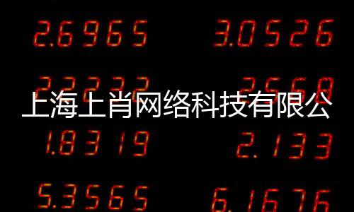 上海上肖網絡科技有限公司(關于上海上肖網絡科技有限公司簡述)