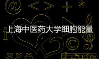 上海中醫藥大學細胞能量代謝分析系統中標結果公告