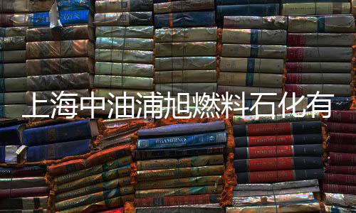 上海中油浦旭燃料石化有限公司(關(guān)于上海中油浦旭燃料石化有限公司簡述)