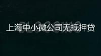 上海中小微公司無抵押貸款（上海無抵押小額貸款）