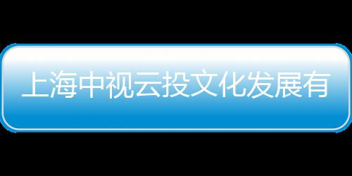上海中視云投文化發展有限公司(關于上海中視云投文化發展有限公司簡述)