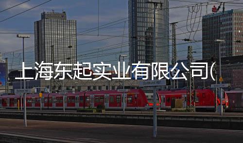 上海東起實業有限公司(關于上海東起實業有限公司簡述)