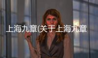 上海九章(關(guān)于上海九章簡(jiǎn)述)