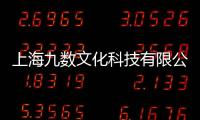 上海九數(shù)文化科技有限公司(關(guān)于上海九數(shù)文化科技有限公司簡述)