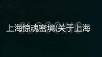 上海驚魂密境(關于上海驚魂密境簡述)