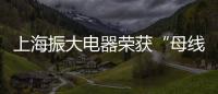 上海振大電器榮獲“母線槽十大品牌”、“復(fù)合封閉絕緣母線十大品牌”