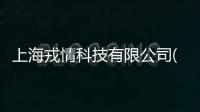 上海戎情科技有限公司(關(guān)于上海戎情科技有限公司簡(jiǎn)述)