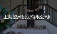 上海望潮投資有限公司(關于上海望潮投資有限公司簡述)