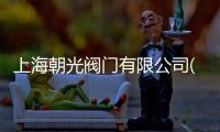 上海朝光閥門有限公司(關(guān)于上海朝光閥門有限公司簡述)