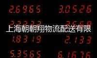 上海朝朝翔物流配送有限公司(關(guān)于上海朝朝翔物流配送有限公司簡述)