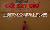 上海文化公司轉讓多少費用