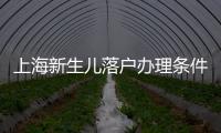上海新生兒落戶辦理條件