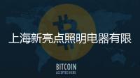 上海新亮點照明電器有限公司(關(guān)于上海新亮點照明電器有限公司簡述)
