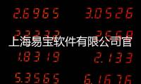 上海易寶軟件有限公司官網包括上海易保軟件科技有限公司的具體內容