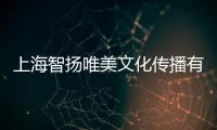 上海智揚唯美文化傳播有限公司(關于上海智揚唯美文化傳播有限公司簡述)