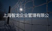 上海智龍企業(yè)管理有限公司(關(guān)于上海智龍企業(yè)管理有限公司簡(jiǎn)述)